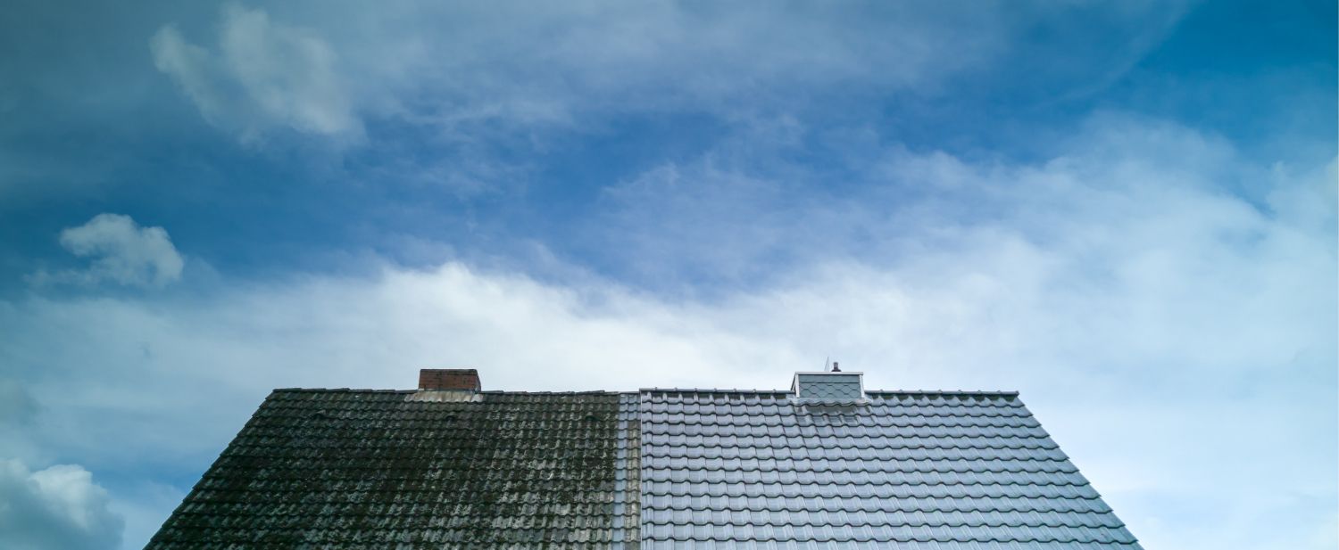 Dachreinigung